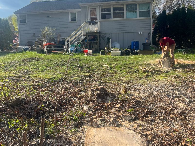 Nelman Tree Service - 2024 (9)